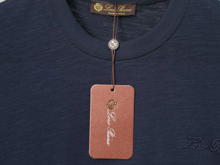Loro Piana T Shirts Short _SKULoroPianaM-2XLaztxQ98736